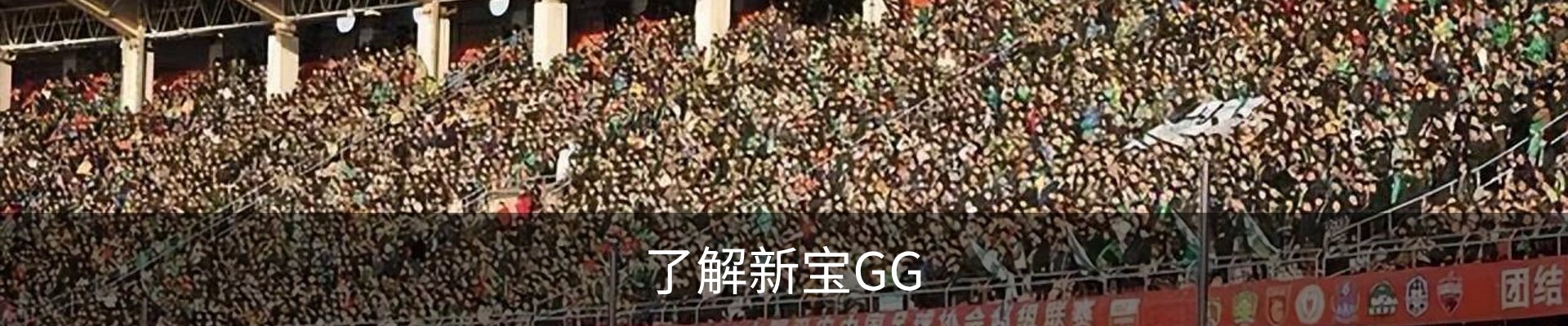 了解新宝GG